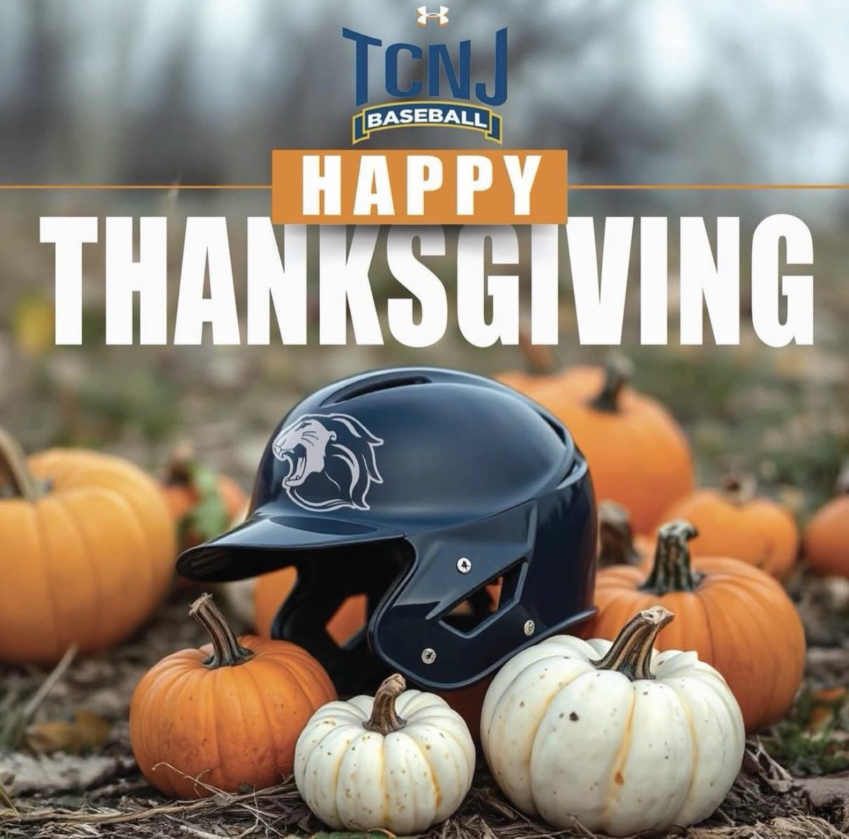 TCNJ BASEBALL tweet media