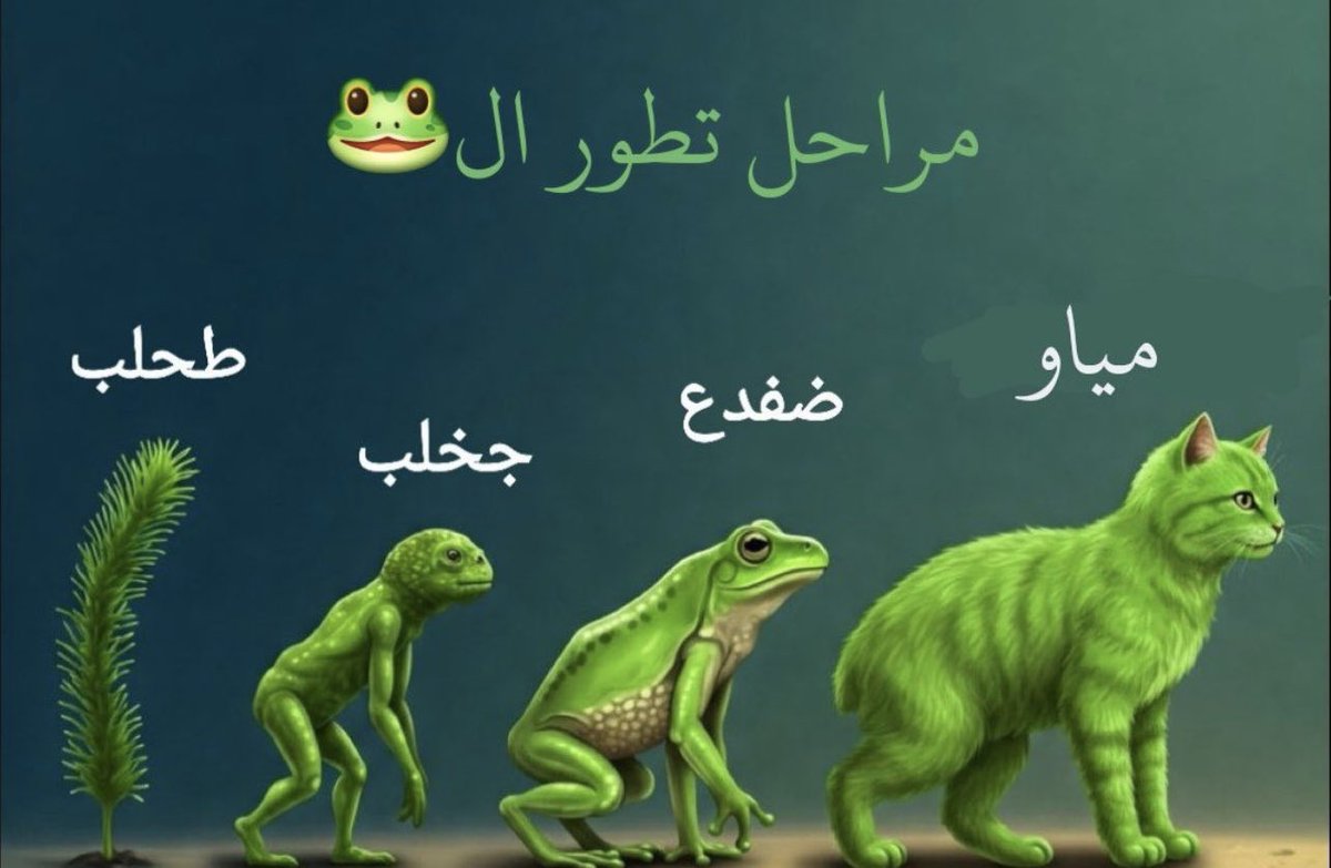 لولو الـجهني tweet media