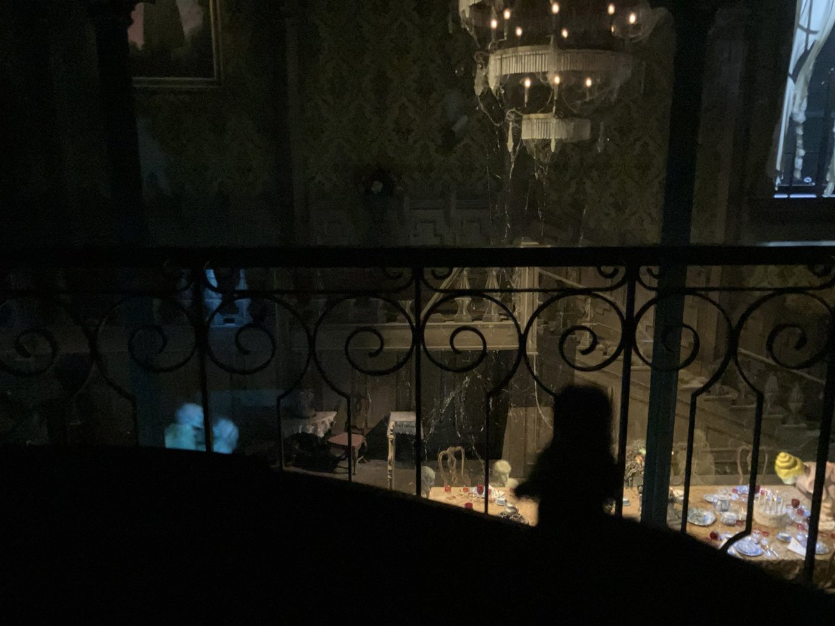 openlycomplex's tweet image. took morro on haunted mansion