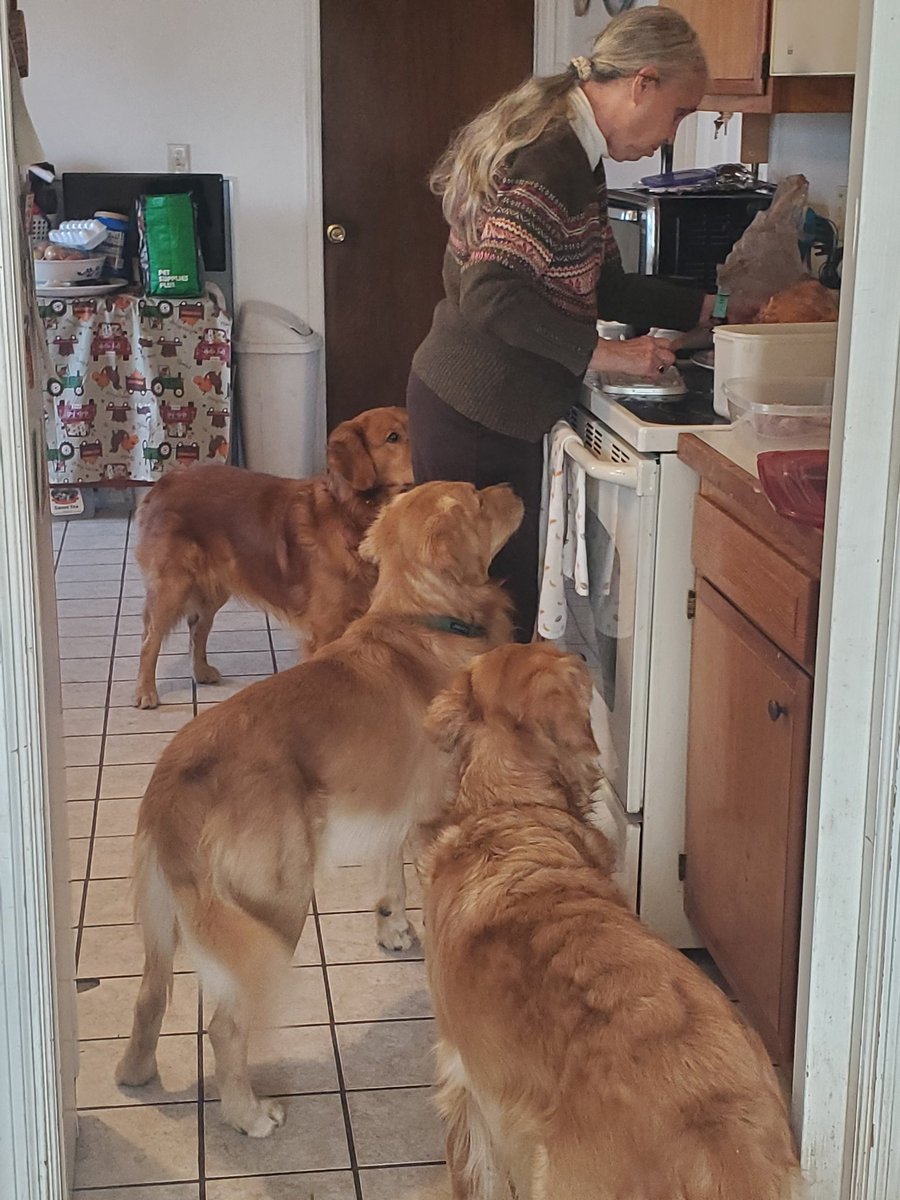 Charles Fenwick tweet media