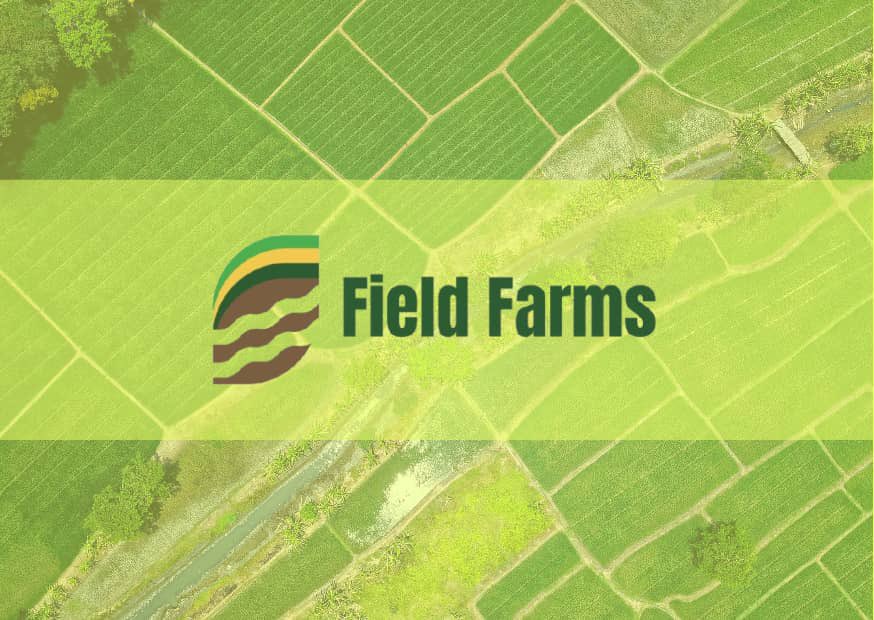 deexel0's tweet photo. Day 16- 20days logo design challenge 
 Field Farms- modern agricultural brand focused on producing healthy organic food 

#20dayslogodesign
#untitled_pixels
#graphics
#logo https://t.co/MRAJIgPgFq