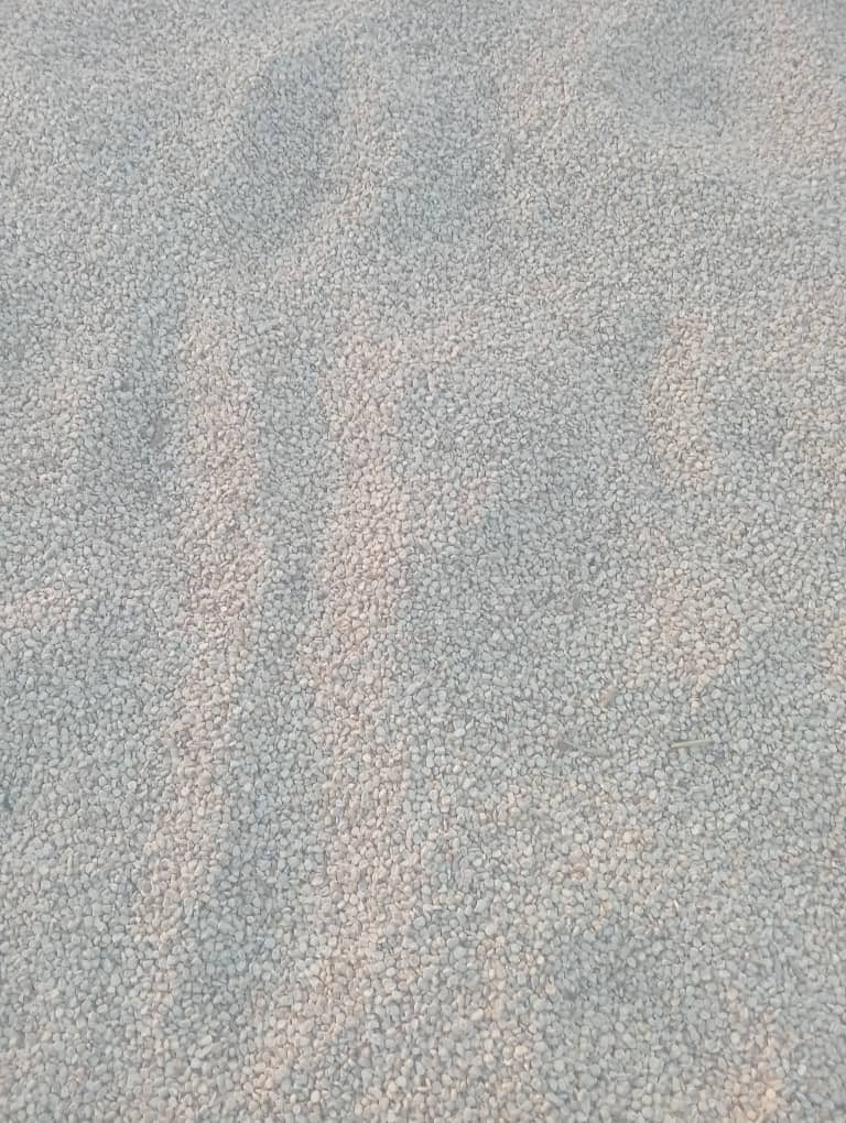 Reigncommodity's tweet image. High quality grade corn, combine harvester