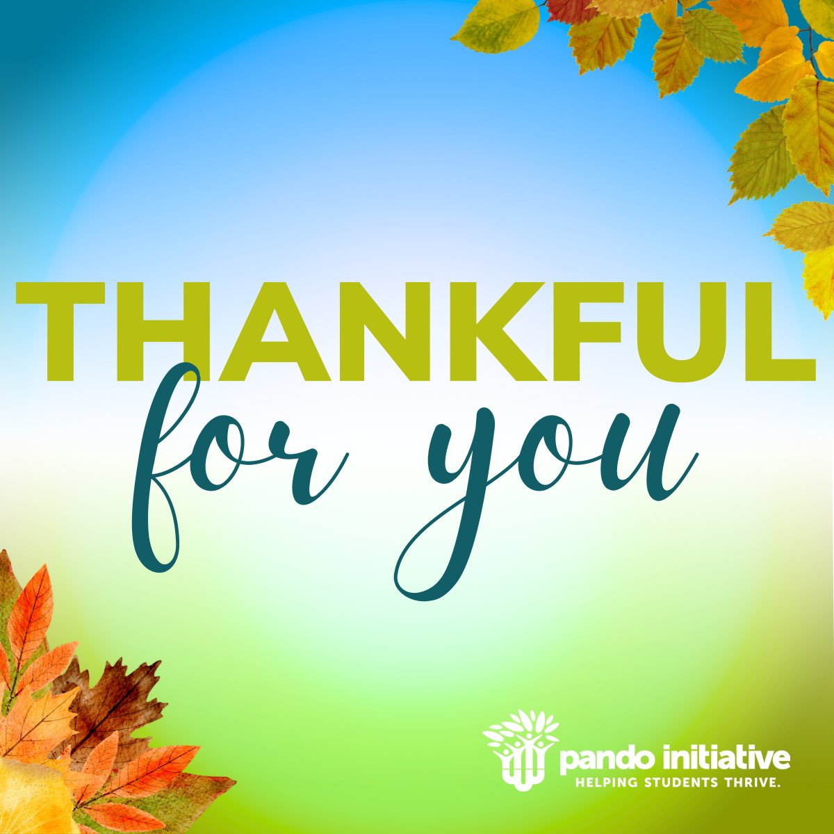 The Pando Initiative tweet media