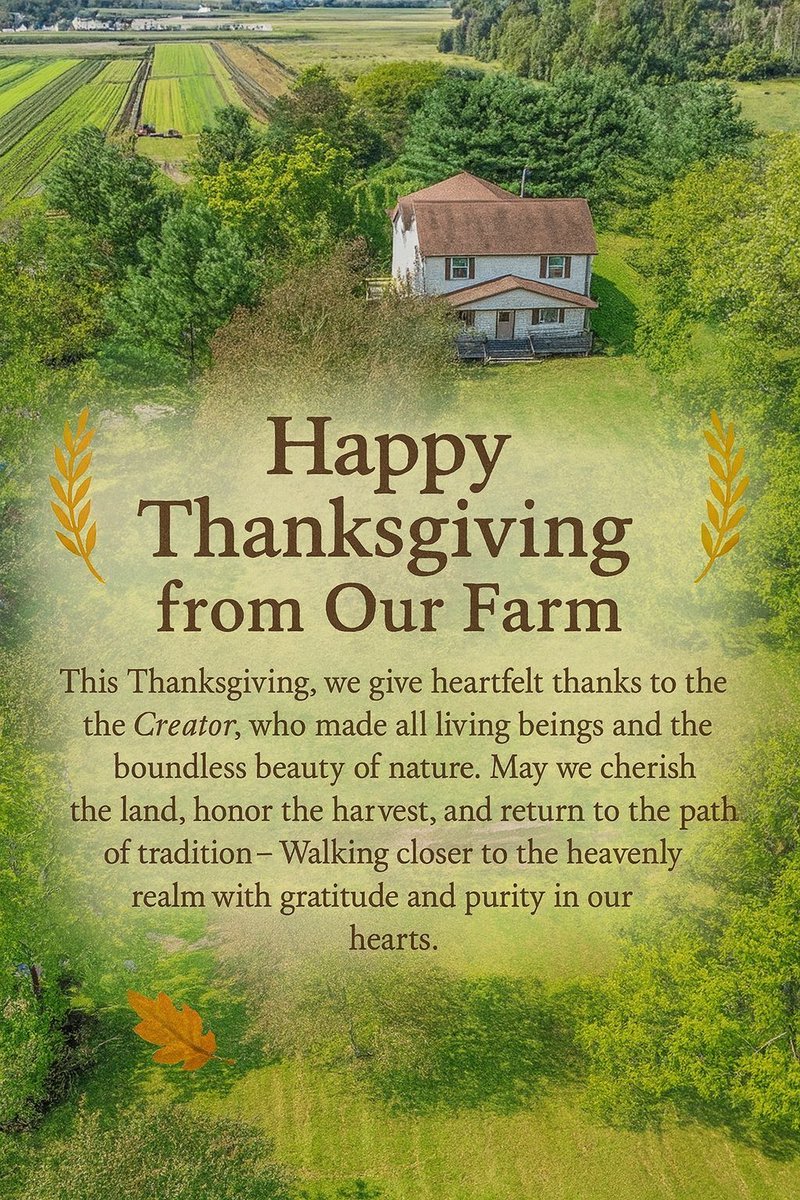 Spring202594791's tweet image. 