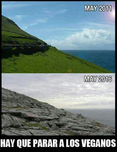 Dios (@dios_0ficial) on Twitter photo 