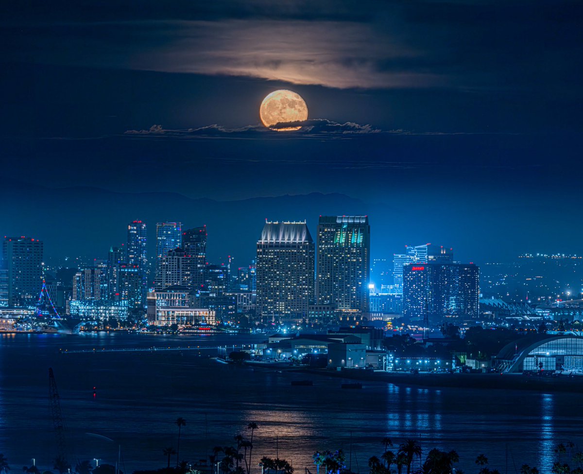 Armando Ayala tweet media