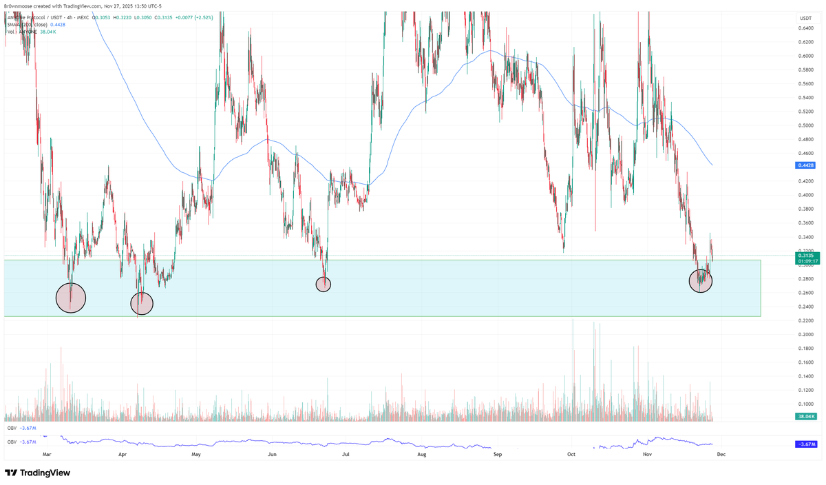 $ANYONE

After the buyzone hit again were in for a bounce.
This project is growing massively and still didnt hit the momentum spot.

Depin privacy project that keep building.