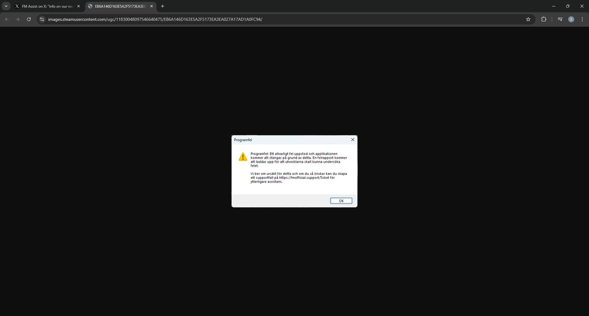 Exz01337's tweet photo. @FM_Assist i get this when starting the game https://t.co/gV9shbEQbW
