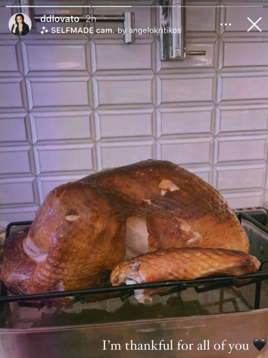 remember when demi lovato 😭😭😭