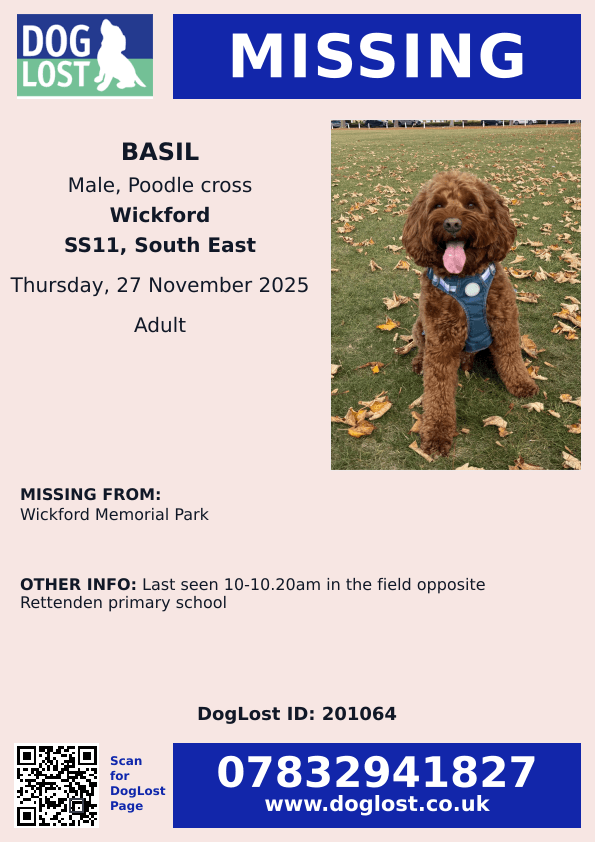 🆘27 NOV 2025 #Lost Basil #ScanMe
Poodle Cross Male
Wickford Memorial Park #Wickford #Essex #SS11
Last seen 10-10.20am in the field opposite Rettenden primary school
doglost.co.uk/dog/201064