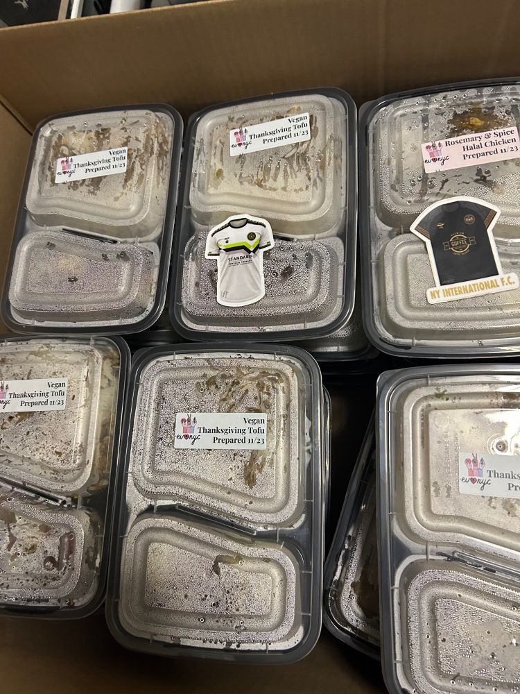 NY INTERNATIONAL FC 🦁 tweet media