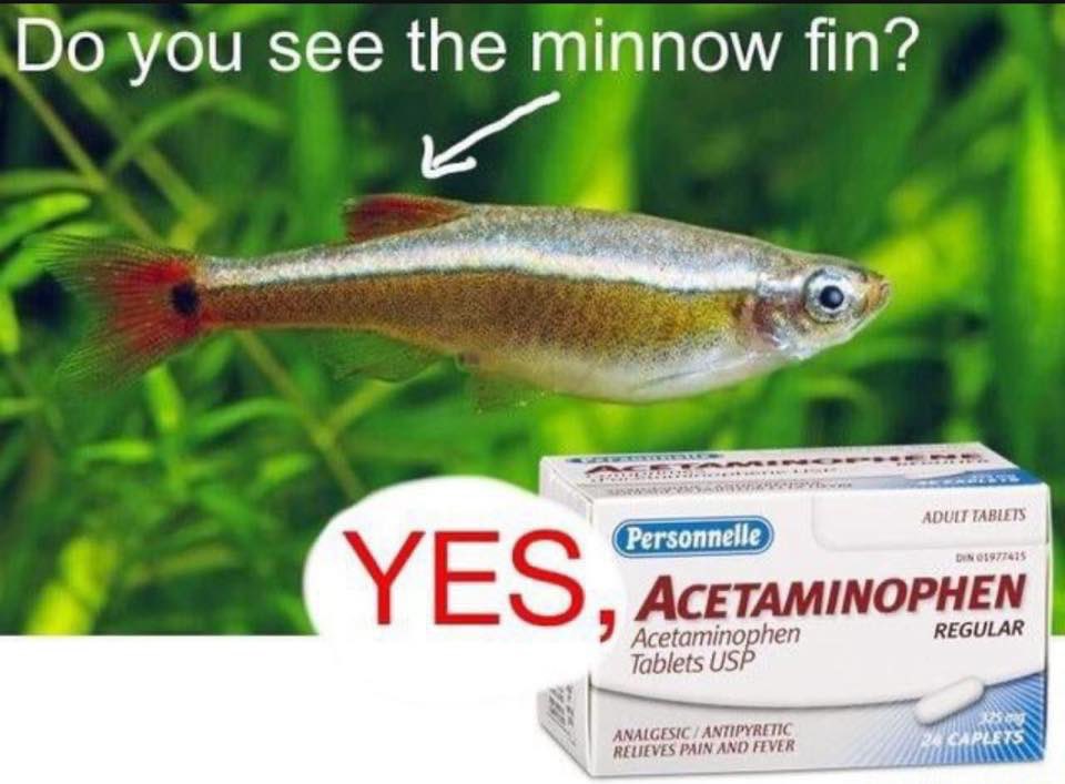 kindfishfriend's tweet image. 