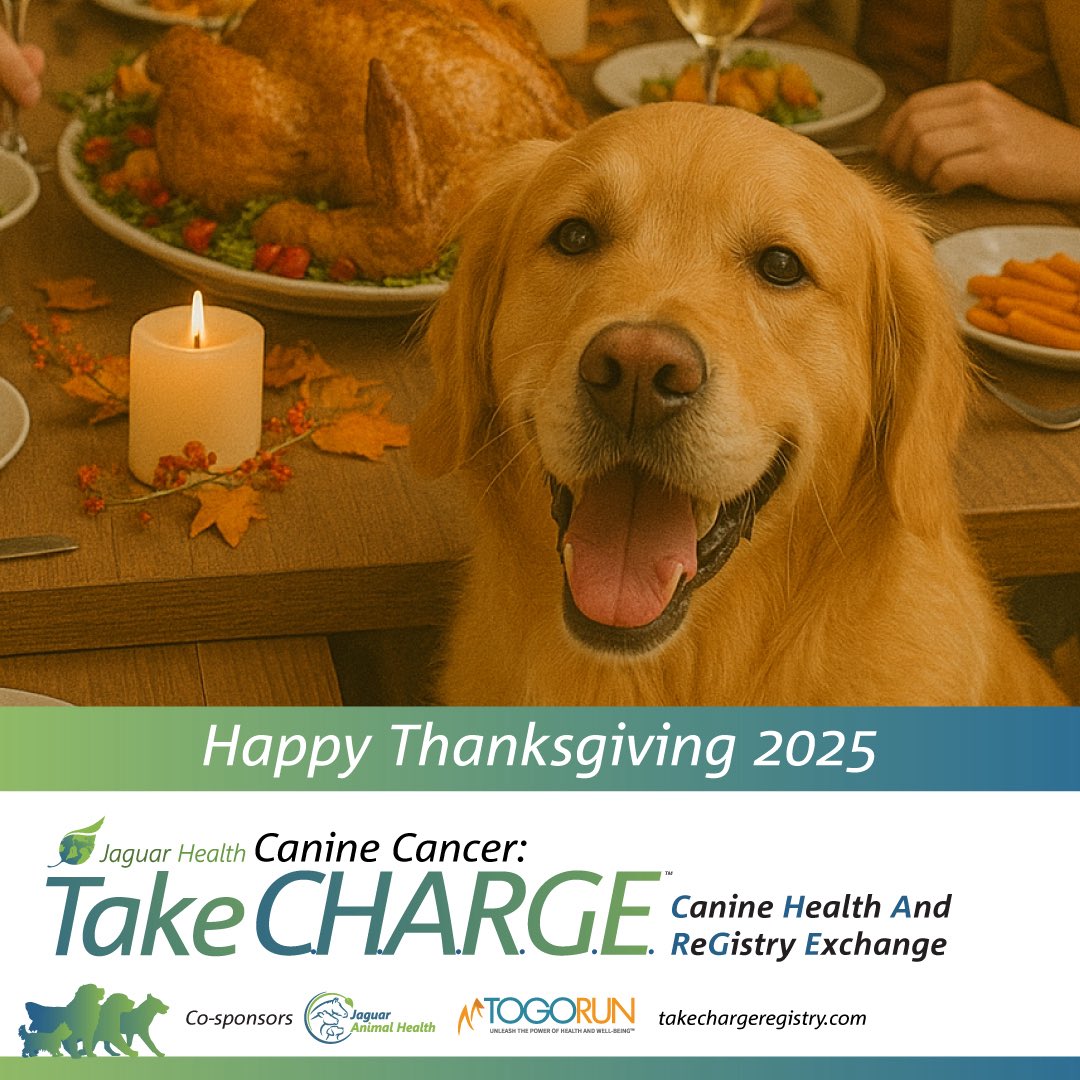 Take C.H.A.R.G.E. tweet media