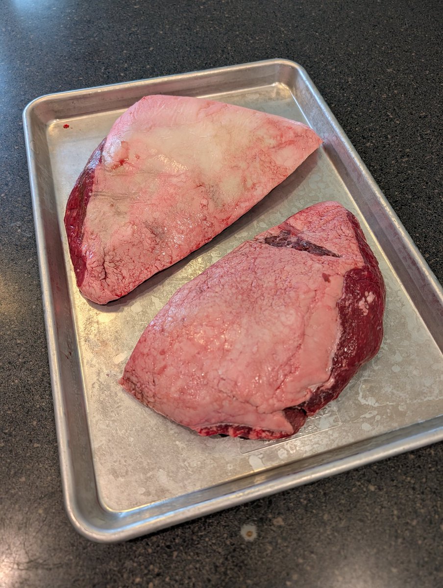 FenixAmmunition's tweet image. This year&apos;s Thanksgiving side piece