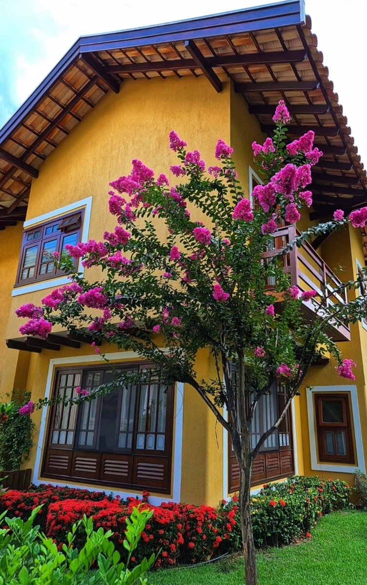 reformaspfazer's tweet image. Extremamente satisfatório ✨