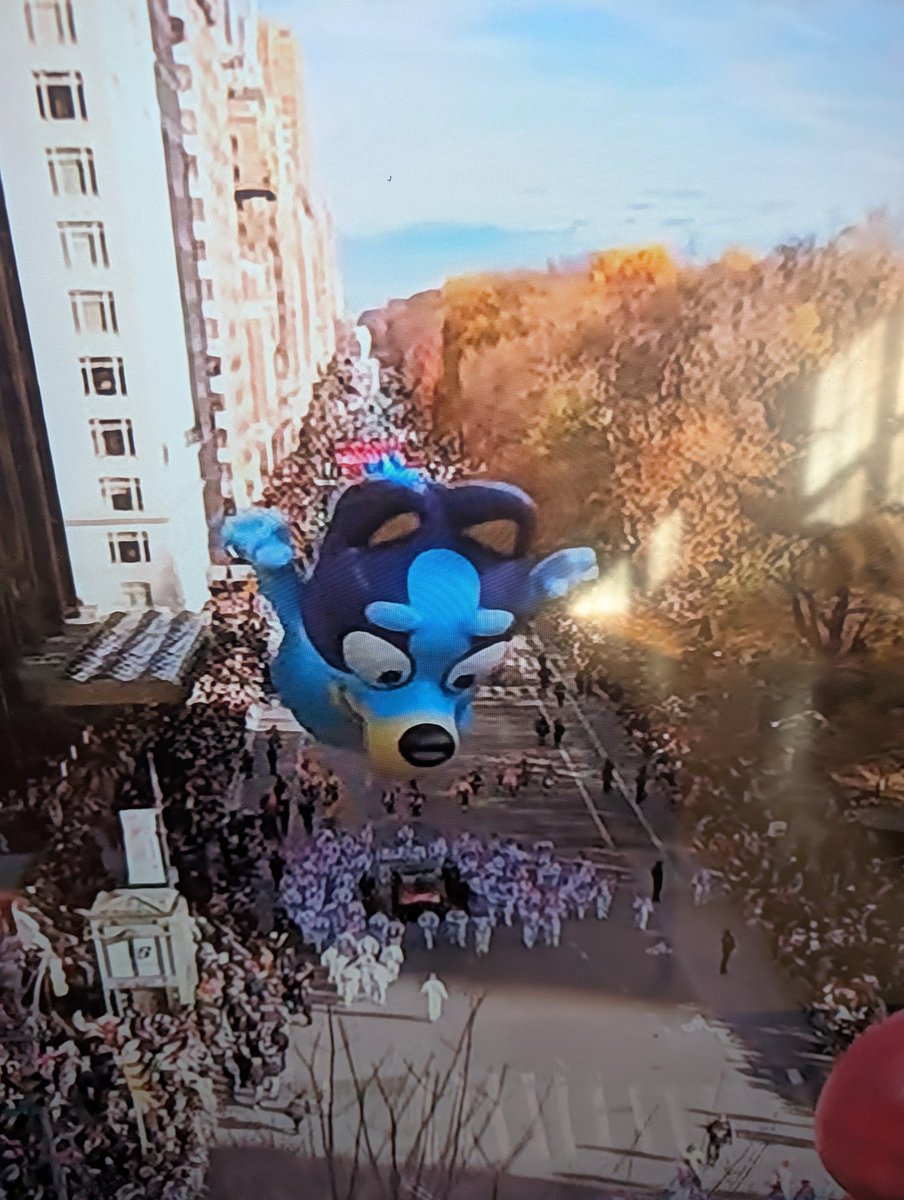 Congratulations to my friend &amp; colleague BHS Theatre Teacher Kerry Bollenbach for marching in the Macy's Thanksgiving Day Parade in New York City as a balloon handler with Bluey! 💙🩵 🐶🗽🦃🎈 #barnegatpride #barnegatinspires #barnegatperformingarts