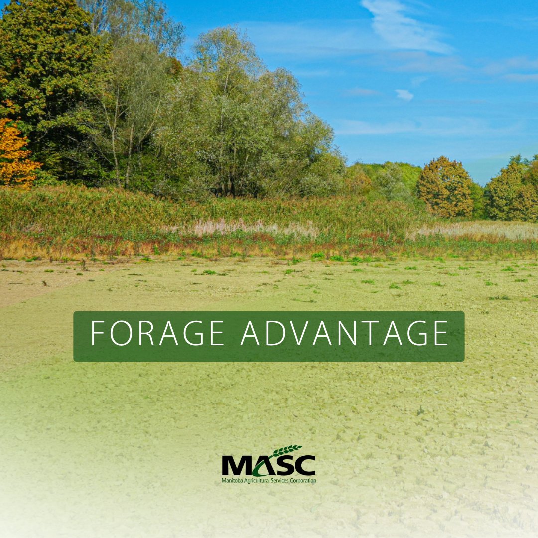 If you grow crops on soil types H, I, and J, consider using this land to grow forages next year. Our new Forage Advantage pilot gives you a 15 per cent discount on Forage Establishment premiums, a further discount for Basic Hay, Select Hay, or Forage Seed Insurance in the