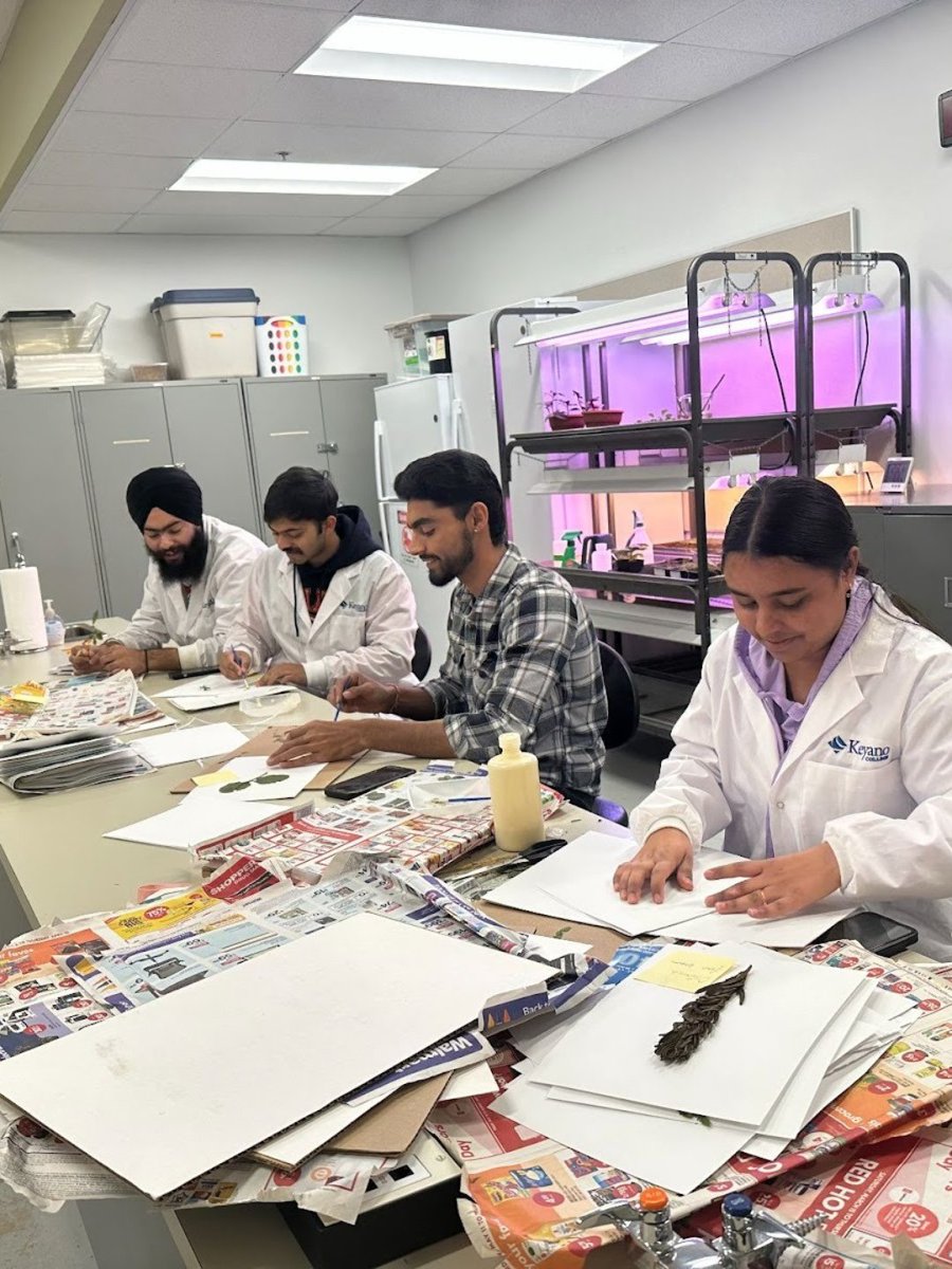 keyanocollege's tweet image. Explore the boreal forest with Keyano’s Environmental Technology program! Gain hands-on skills, study local ecosystems and prepare for careers in resource management, consulting and research. Learn more here: ow.ly/tmzl50XyLG9