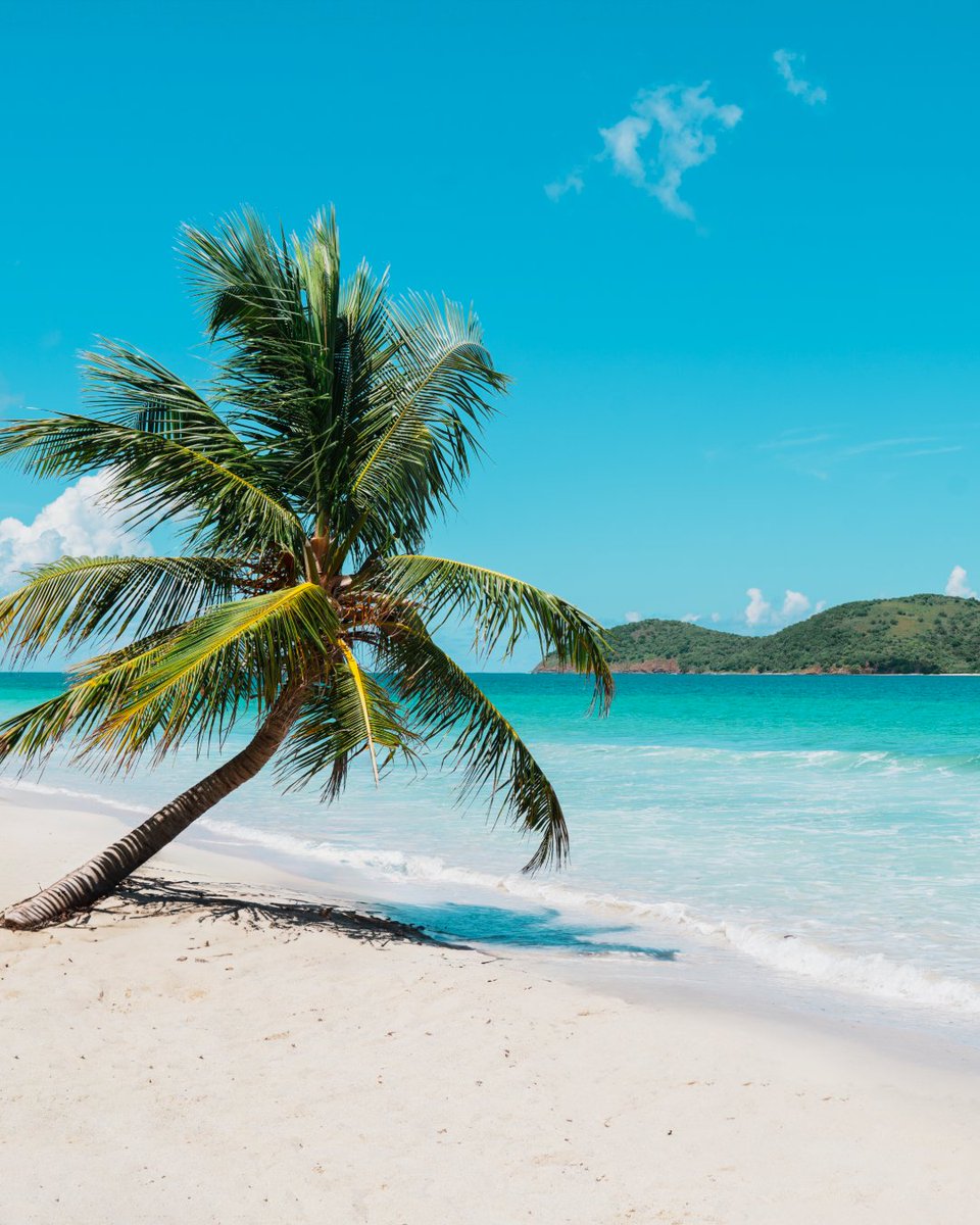 Discover Puerto Rico Meetings tweet media