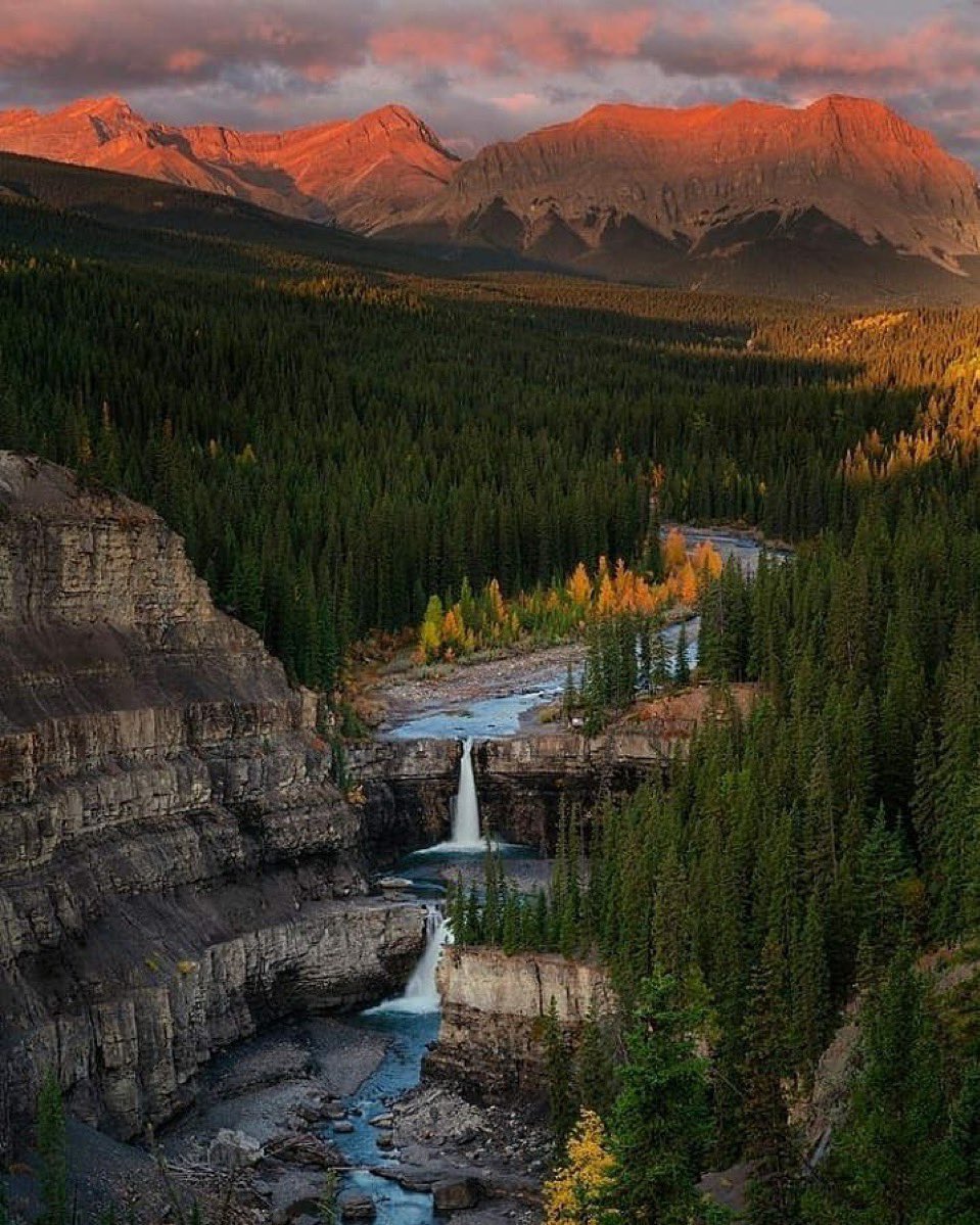 purenature_1's tweet image. Amazing nature 🍀🌿🌱 #refresh