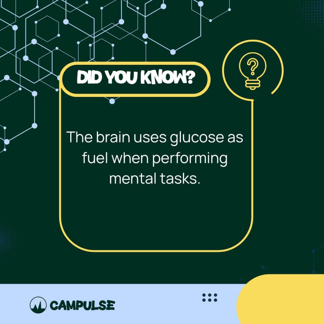 Campulse_24's tweet image. Studied for one hour after breakfast and I’m ready to eat my textbook. Mental work burns sugar FAST. Snacking isn’t laziness—it’s fuel. Library cafeteria = genius move 🍟📚

#DidYouKnow