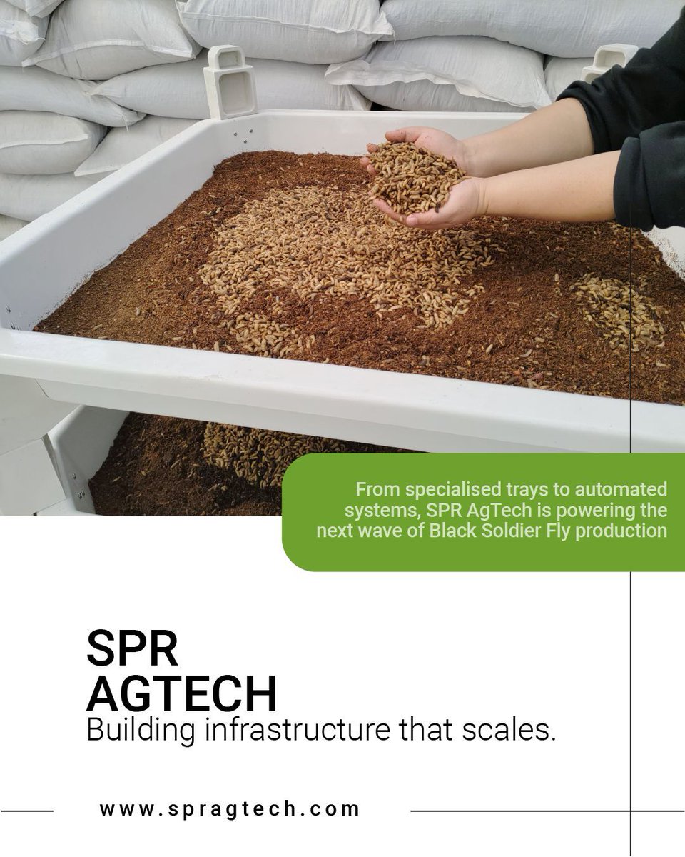 betabugsltd's tweet image. Ever wondered what goes on behind the scenes of a high-performance #insectrearing facility? Check out our latest feature on #SPR AgTech, a company building the essential infrastructure that helps #insect farms scale. 

👉 Read more over on the blog: betabugs.uk/spr-agtech-dev…