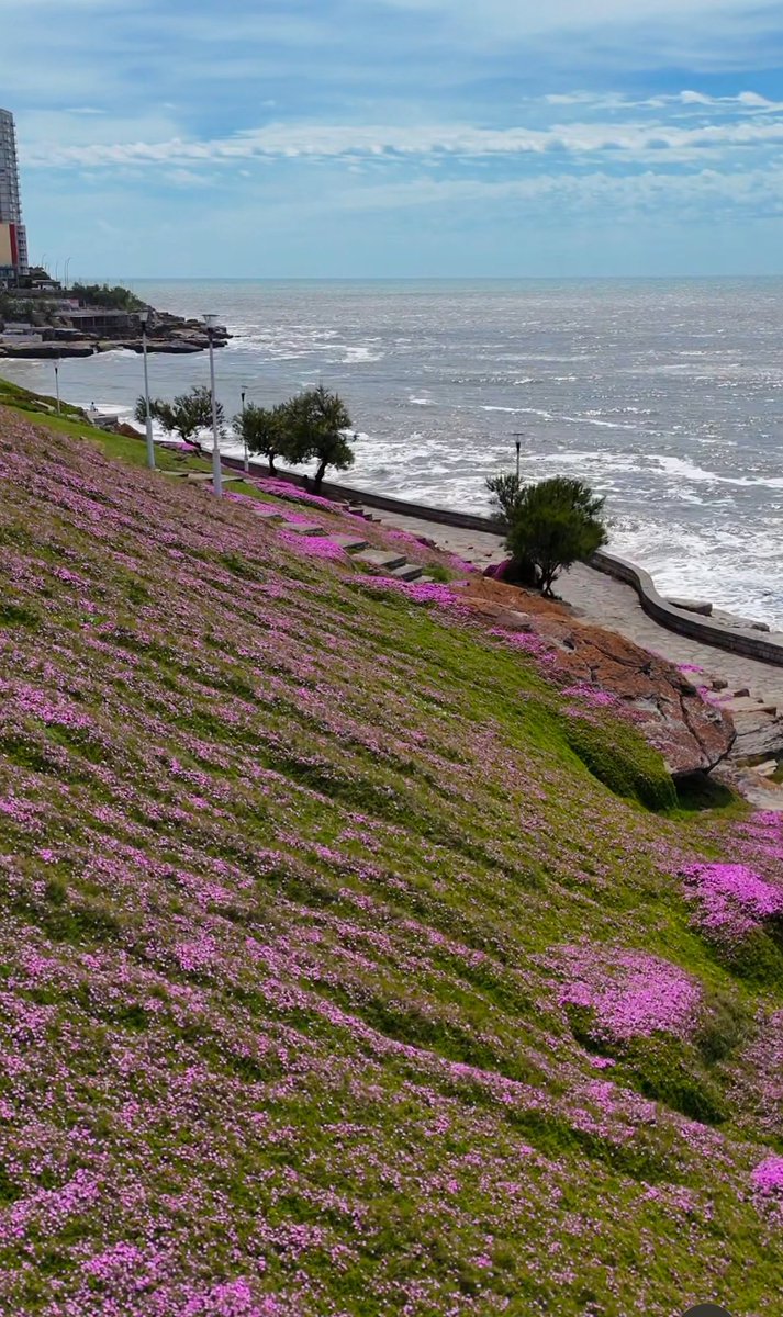 MximaReina1's tweet image. Que belleza Mar del Plata…