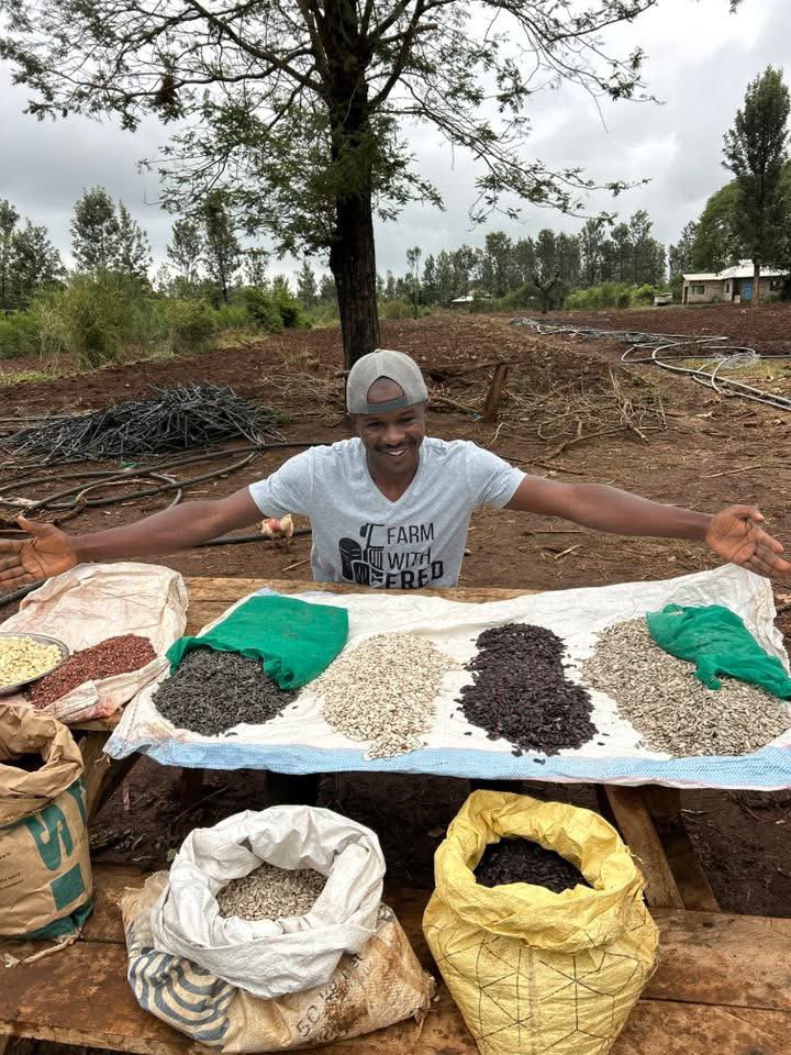 Fredmunene_'s tweet image. Kenya’s High Court has delivered a major win for smallholder farmers by declaring parts of the country’s seed-sharing law unconstitutional. The ruling found that restrictions on farmers exchanging seeds violate their rights, recognizing the vital role of informal seed-sharing in…