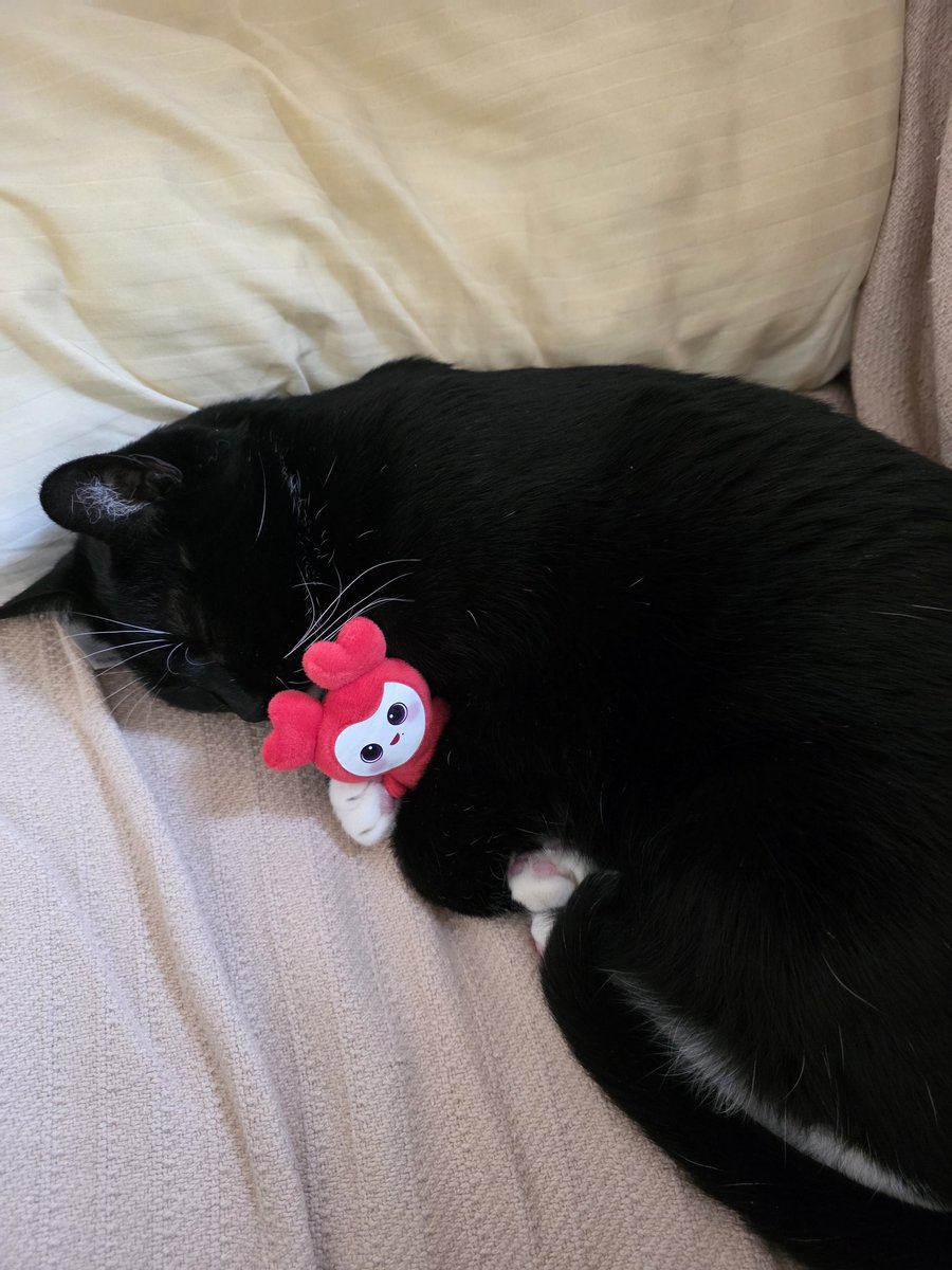 나모챙 ㅐ티ㅣㅇ tweet media