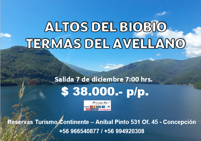 TourContinente's tweet photo. 📷 DOMINGO 7 DE DICIEMBRE
TERMAS DEL AVELLANO - ALTOS DEL BIOBIO
Valor: $38.000 por persona

📷 Incluye:
Bus de turismo
Entrada al recinto termal
📷 No incluye:
Alimentación
📷 Salidas desde:
Chiguayante
Concepción
Los Ángeles
📷 Reservas:
+56 966540877 +56 994920308 https://t.co/KhQHJkZUnw