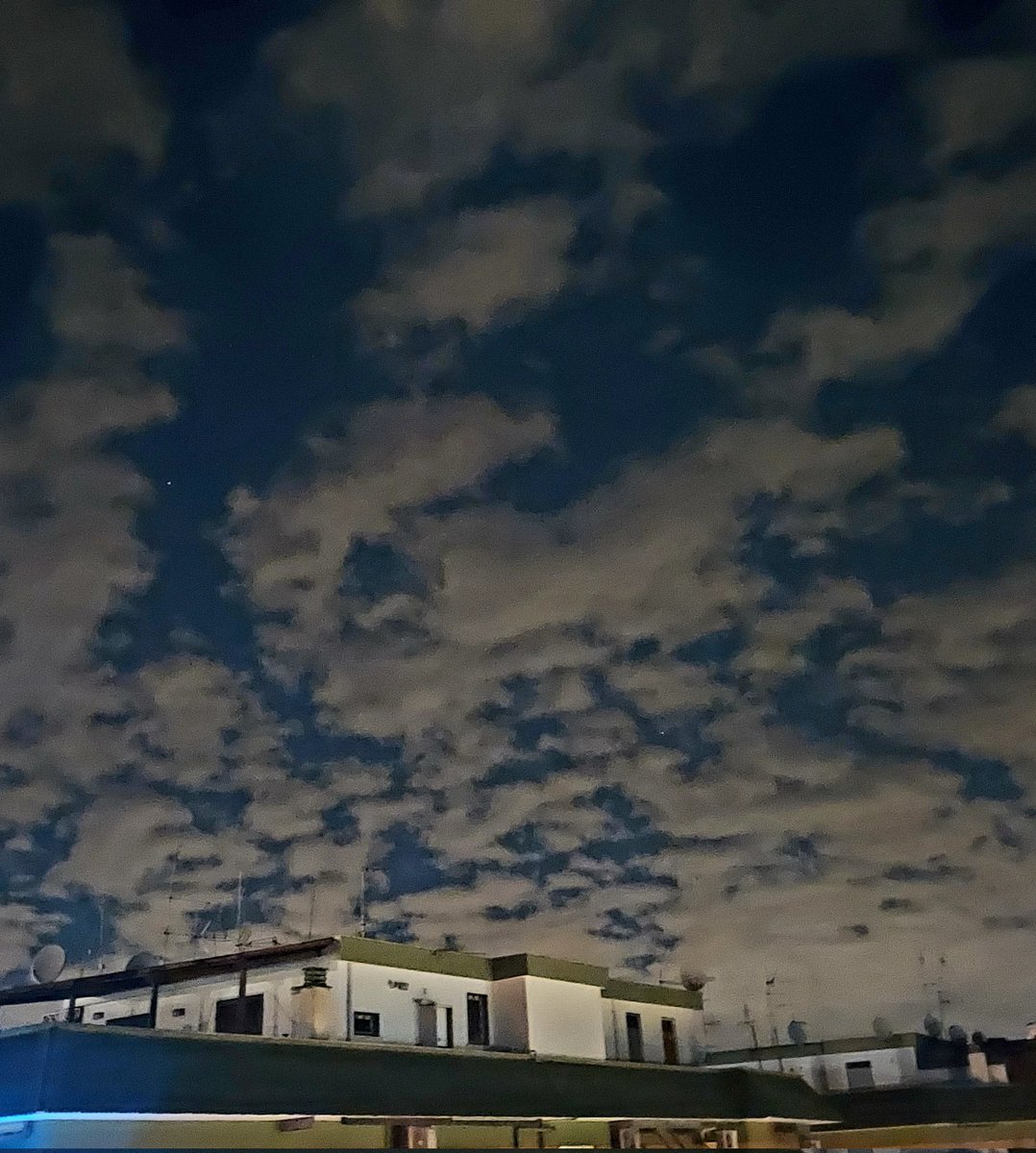 Maria Lea tweet media