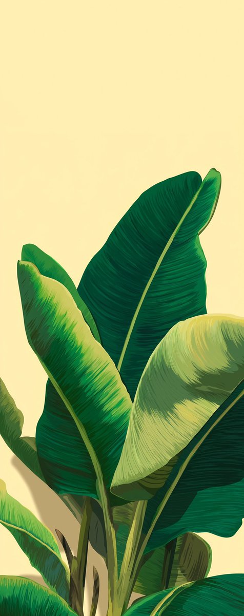LumeScape_'s tweet image. Banana leaves for wallpaper 
#iOS26 #Wallpapers