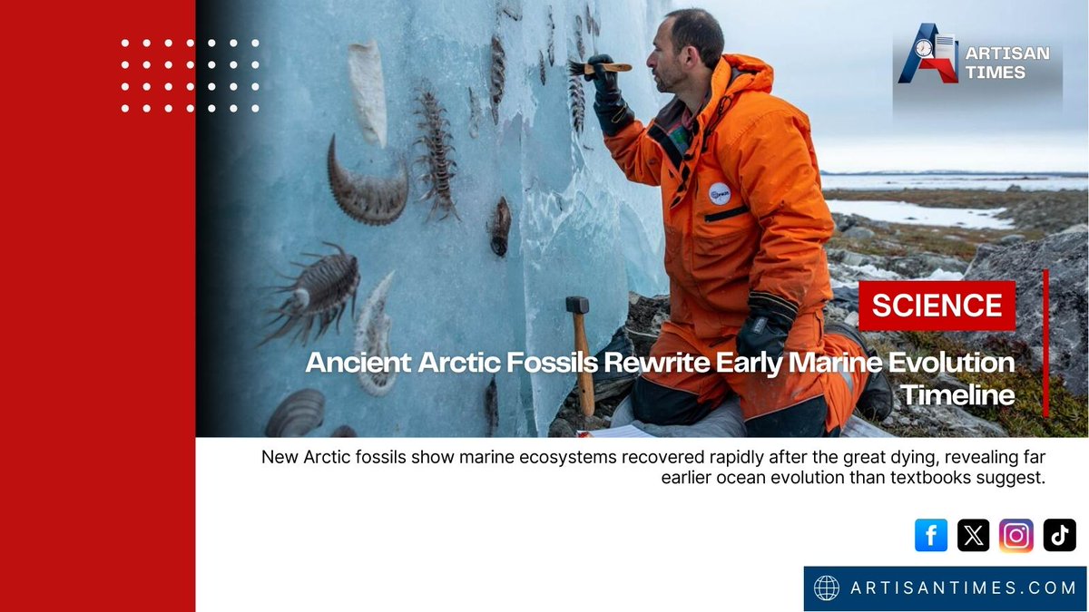 artisan_times's tweet image. A huge fossil find from the Arctic shows marine life recovered far faster after the “great dying” than experts believed.
 #Fossils #Arctic #ScienceNews #Evolution #Paleontology
Read more: artisantimes.com/ancient-arctic…