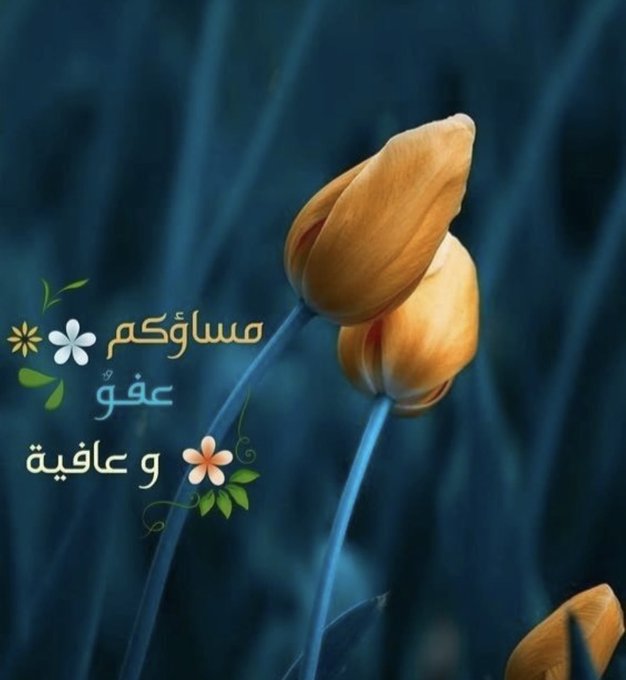 مساء الخير على القلوب الهادئة التي تنشر الطمأنينة أينما حلت🌹

#مساء_الخير