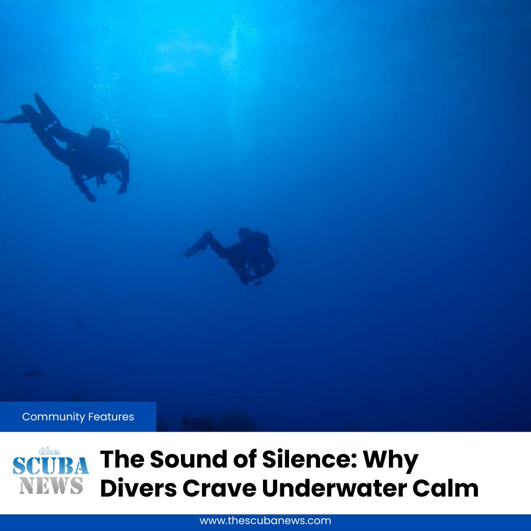 Why do divers crave quiet? Because underwater calm eases stress, sharpens awareness, and helps protect marine life. Here is how to find it and keep it on every dive. 

🤿 👉  buff.ly/7tCWVfN

#Scuba #Diving #ScubaDiving #TSN #TheScubaNews