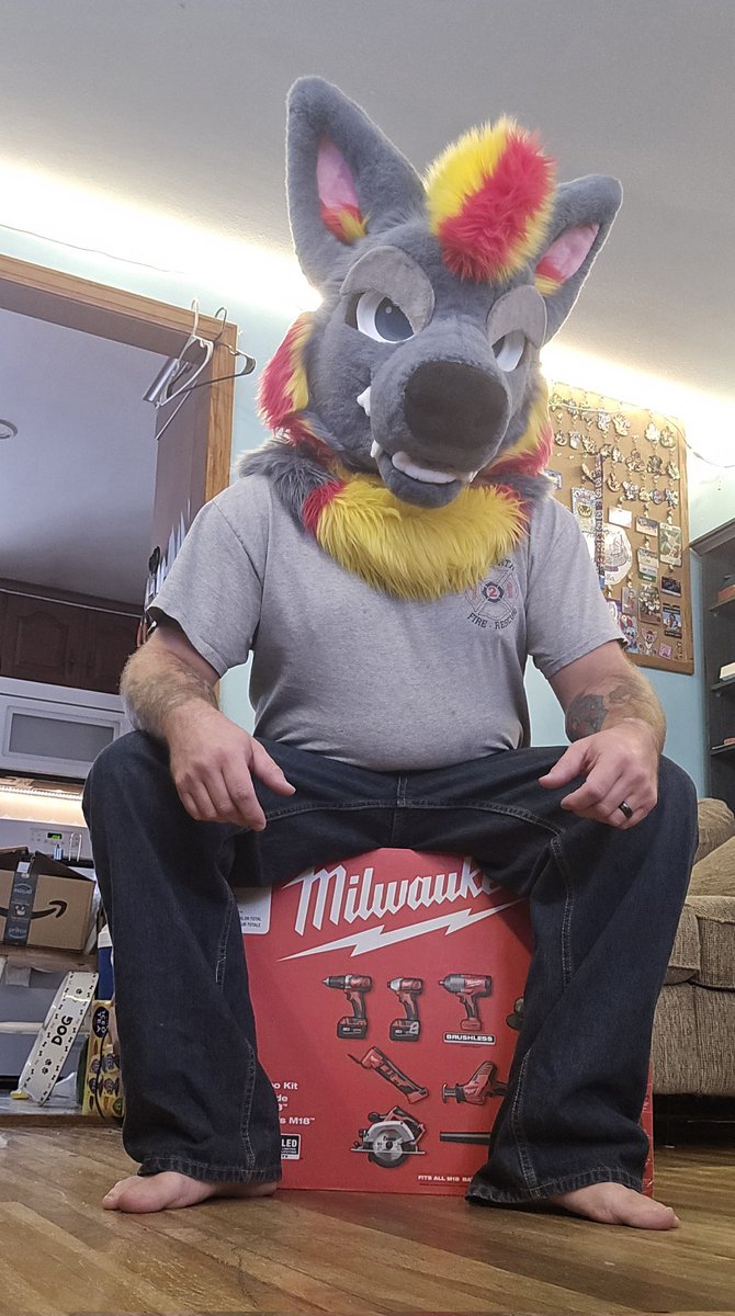 Ash 🦊 🧡❤️💙 tweet media