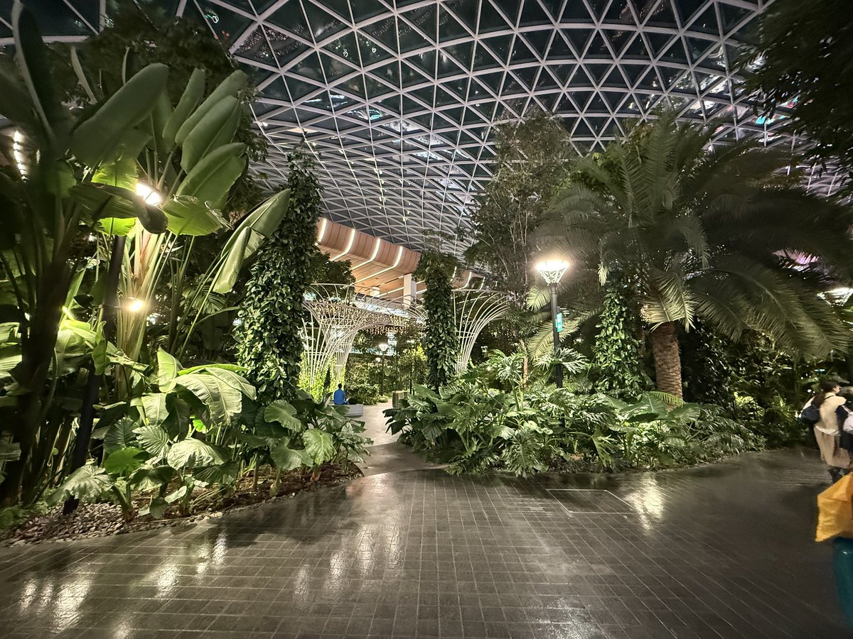 HIGASIDAI's tweet image. バルセロナへ向かう途中、カタールのドーハ空港にトランジットで立ち寄りました。
その、ゴージャスな雰囲気に圧倒されました。

#ドーハ・ハマド国際空港　#東大源