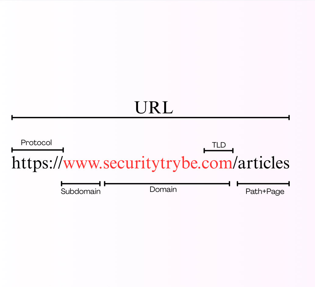 SecurityTrybe's tweet image. Parts of a URL