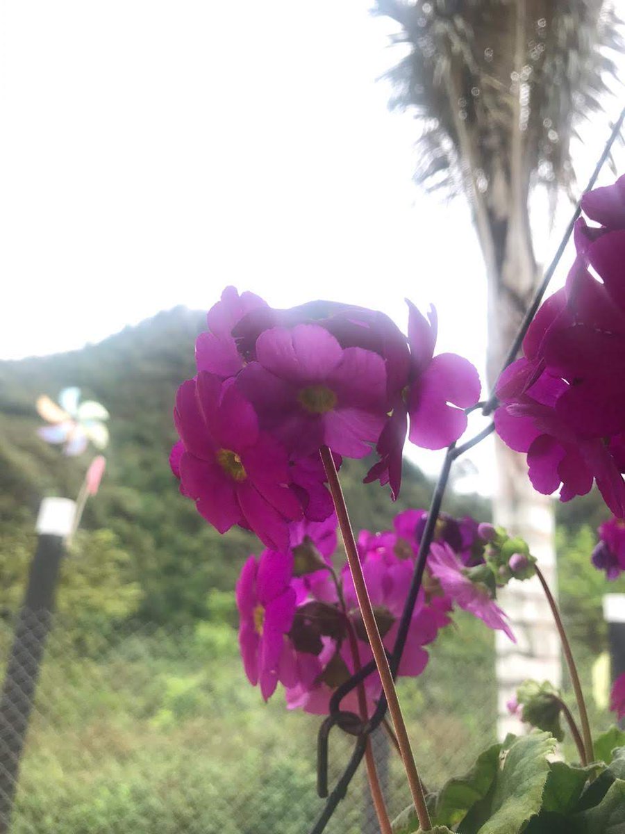 En la lealtad no existen los grises. Es blanco o negro. O eres completamente leal o no lo eres en absoluto...

Andrés Fanto