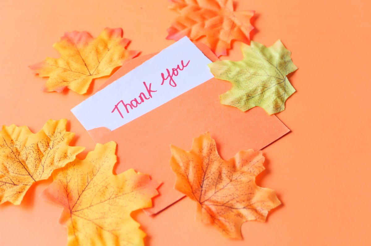 Michimmigrant's tweet image. As we give thanks with family &amp;amp; friends, we&apos;re grateful for the🧡&amp;amp; support of our community. Partners have hosted community fundraisers with empanadas, a 5K run, &amp;amp; at local businesses.
If you’d like to host a fundraiser for MIRC, contact: jvisel@miadvocacy.org