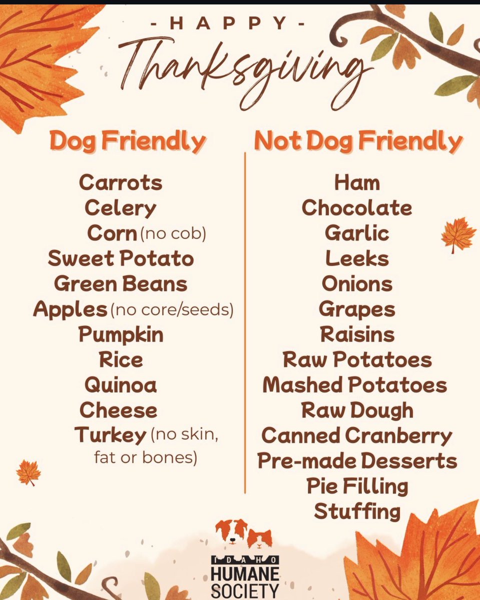 BeeDoDoobieDo's tweet image. 🍂🍁Happy Thanksgiving🦃

Please enjoy these dogs being thankful for kind humans at San Xavier Del Bac Mission, which still serves the village of Wa:k (San Xavier District) on the Tohono O’odham reservation, Arizona.