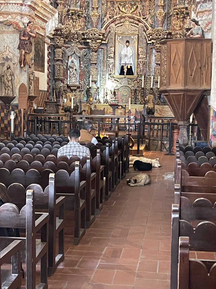 BeeDoDoobieDo's tweet image. 🍂🍁Happy Thanksgiving🦃

Please enjoy these dogs being thankful for kind humans at San Xavier Del Bac Mission, which still serves the village of Wa:k (San Xavier District) on the Tohono O’odham reservation, Arizona.