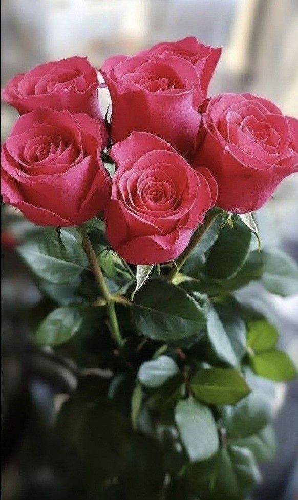 Nidhale elarabi tweet media