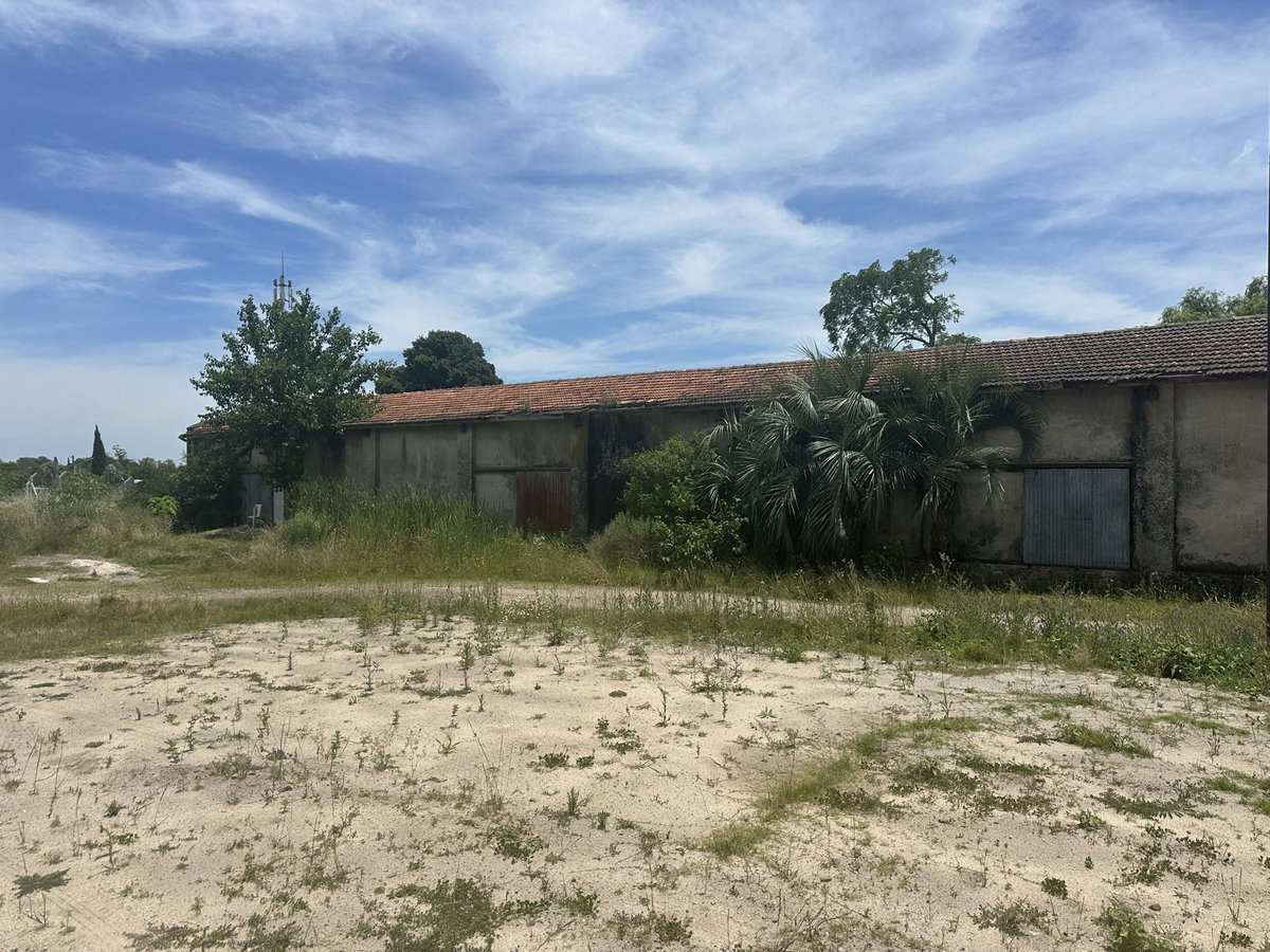 Junto al Intendente de Durazno <a href="/falgorta/">Felipe Algorta</a>  <a href="/AnaHunter1968/">Ana Hunter.</a> y <a href="/salomiraldo2599/">Nigga</a> recorrimos instalaciones de Afe, con el propósito de darle valor al riquísimo patrimonio que merece un mejor destino.