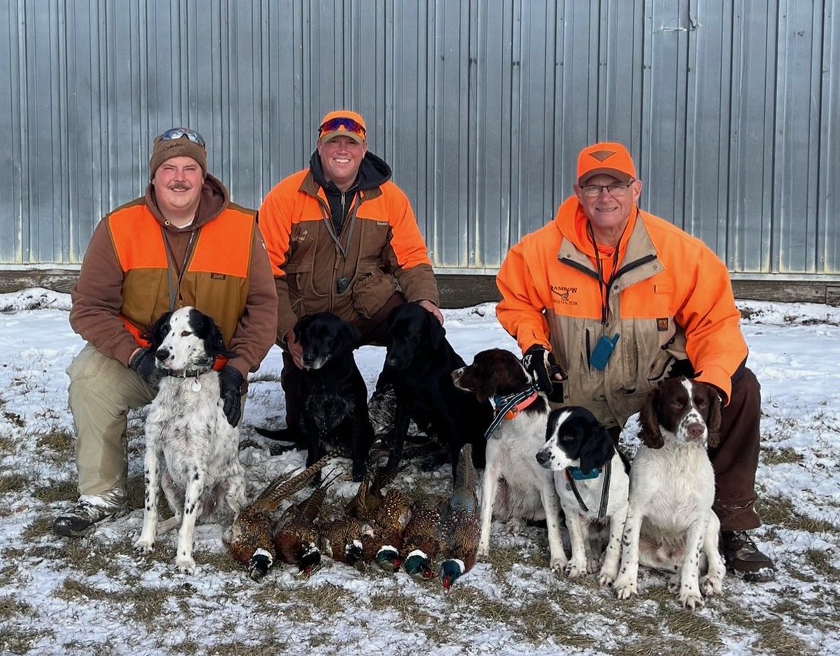 jonrambow's tweet image. Feeling incredibly grateful for 45 years of keeping our Thanksgiving morning pheasant-hunting tradition alive. It was a gift to spend the day with Goldy, Jake, and our best friends—Chance, Bridge, Shy, Opry, Breeze, and Hank—each of them a true rock star today.