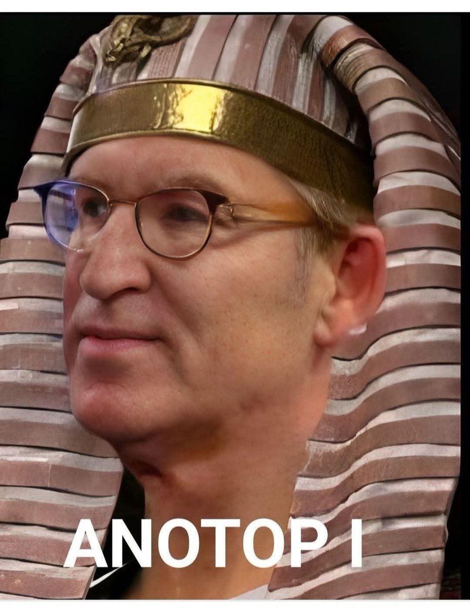 Great Groc Shark (@greatgroc) on Twitter photo 