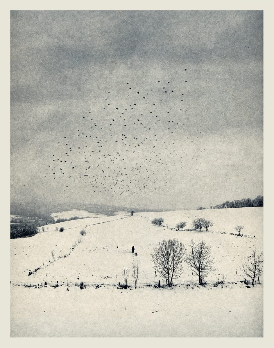 Przestrzeń

Kamila Kansy