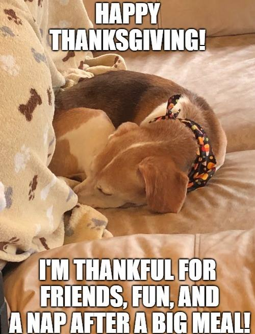 My brain is so full of tryptophan, I feel like Google's spider—except I'm crawling to the couch instead of the web.

Happy Thanksgiving, Local SEO Nerds