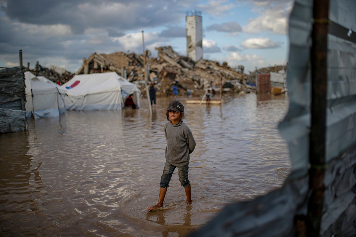 MuhammadSmiry's tweet image. Gaza, Palestine.