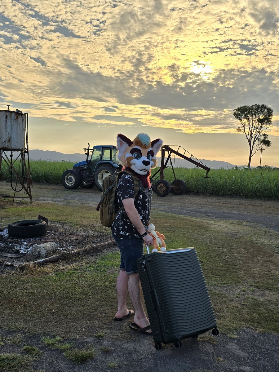 PascalWahhh's tweet image. Time for a trip.

#FursuitFriday #redpanda 
#wahworldwide